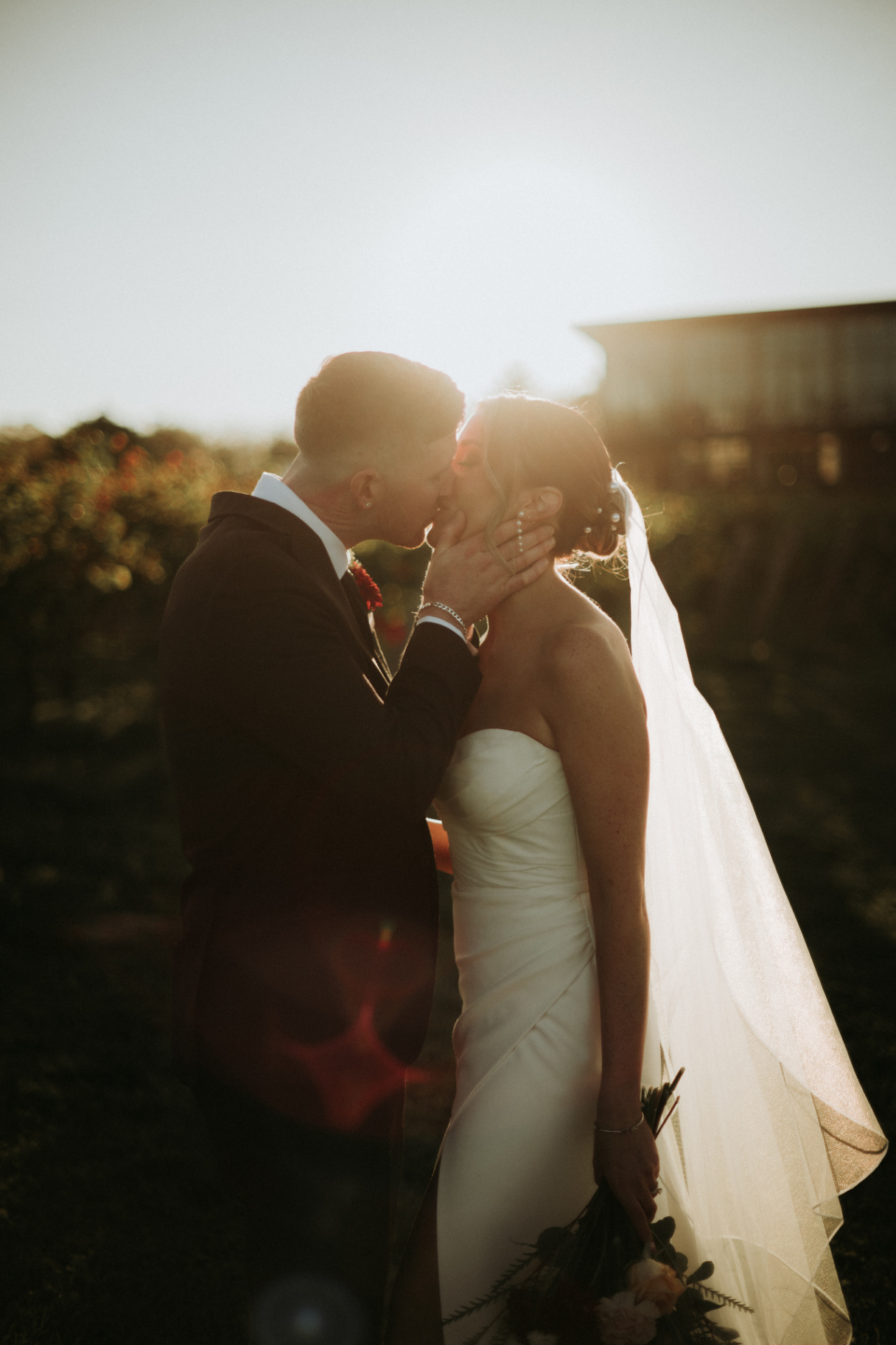 Couple sharing a sunlit kiss in the vineyard
